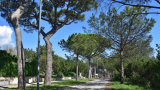 Parco Virgiliano a Napoli: lavori di rinascita in corso