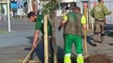 Napoli riqualifica Piazza Garibaldi con nuovi alberi e più verde