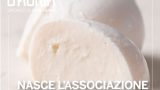 Fior di latte di gragnano: nasce l’associazione il 2 aprile 2025
