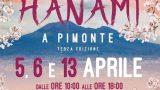 Hanami in Piemonte: celebrazione di primavera con tradizione e sapori locali