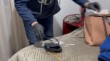 Arrestati ladri di case: la banda smascherata dopo il furto al medico di s.maria c.v.