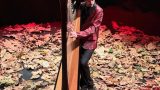 Concerto di arpa: tales of kalthura con Gianluca Rovinello alla Sala Assoli