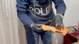 Banda di ladri scoperta dopo furto da 130mila euro in appartamento