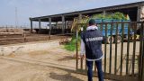 Sequestrato allevamento di bufalini a san tammaro per violazioni ambientali