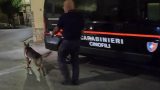 Droga nel centro sportivo di villa literno: 3 arresti e 2 denunce