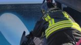 Incidente mortale in Campania: muore donna di 37 anni, feriti padre e figlio