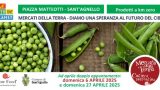 Mercato della Terra a Sant’Agnello: scopri il doppio appuntamento Slow Food